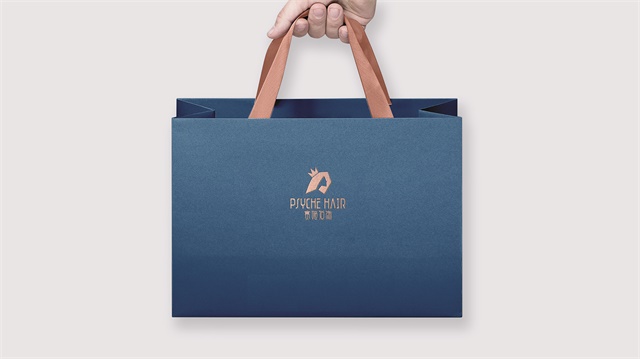 赛姬发饰品牌设计