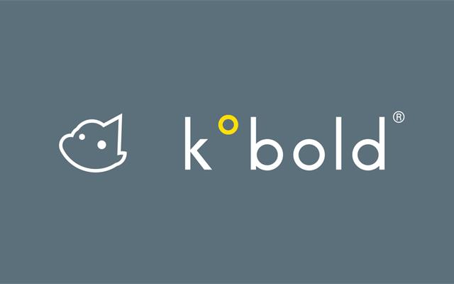 kobold折叠伞VI设计